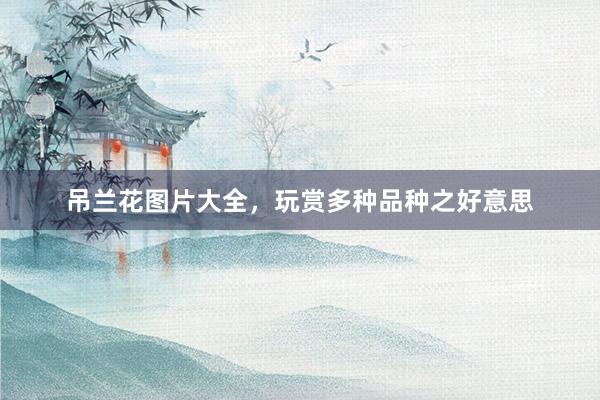 吊兰花图片大全，玩赏多种品种之好意思