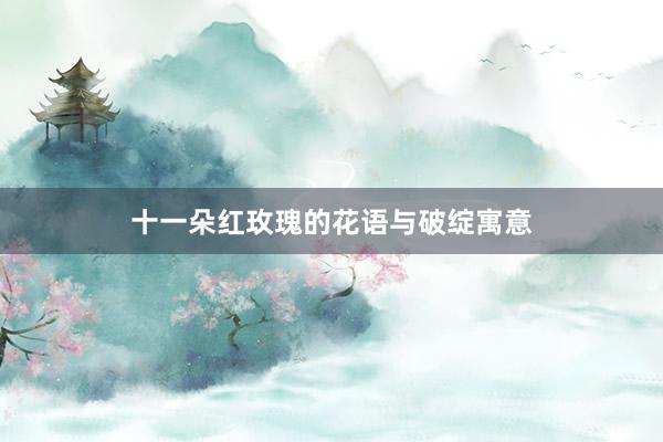 十一朵红玫瑰的花语与破绽寓意